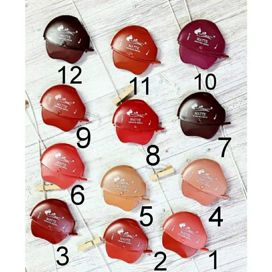 Matte Finish Lipstick